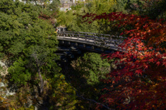 猿橋スナップ散歩