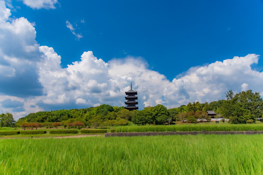 岡山備中散歩