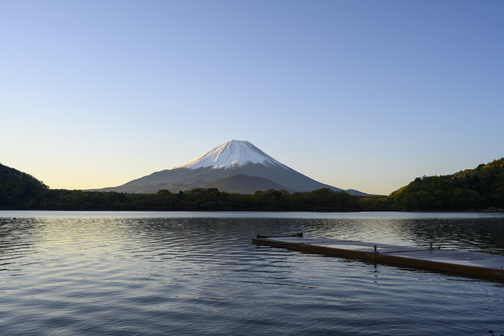 五月の精進湖