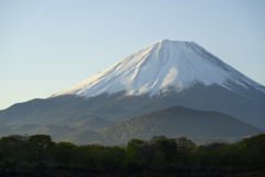 五月の精進湖