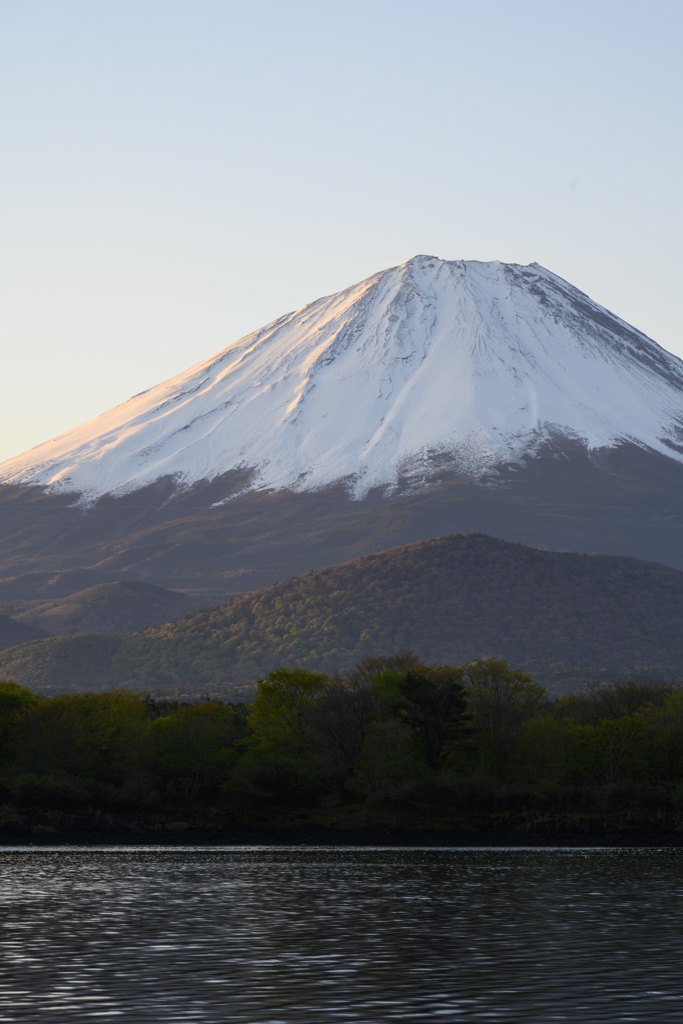 五月の精進湖