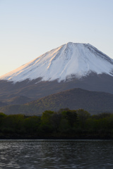 五月の精進湖