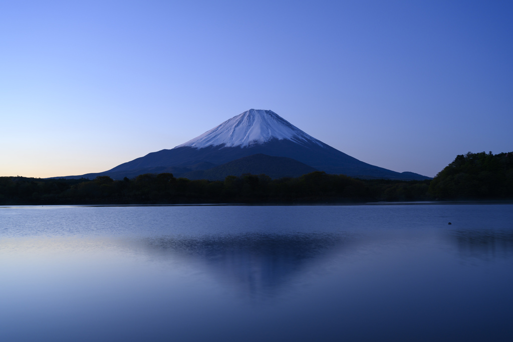 五月の精進湖