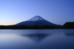 五月の精進湖