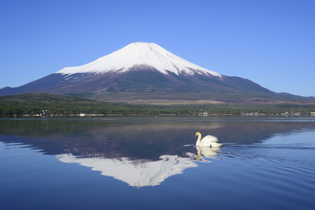 五月の山中湖