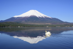 五月の山中湖