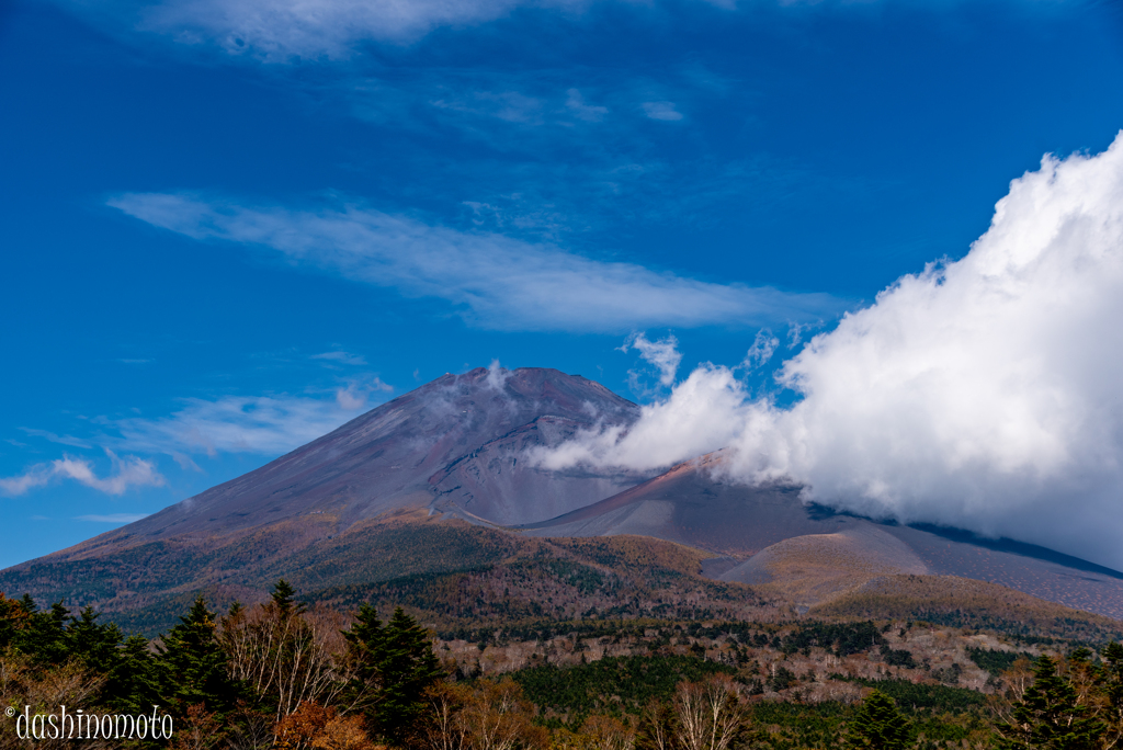 秋の富士散歩