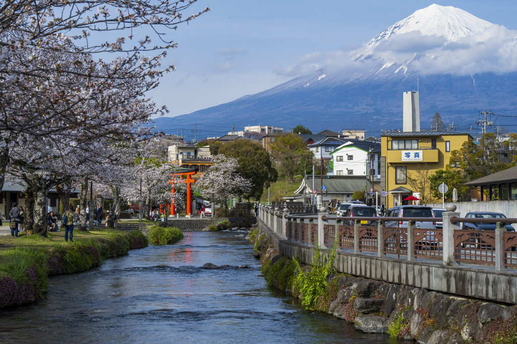 神社と富士山