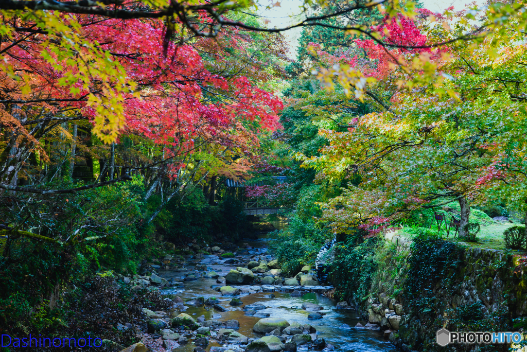 広島　紅葉さんぽ１