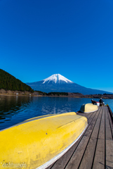 lake　たぬき