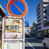 熱海桜　街ぶらスナップ
