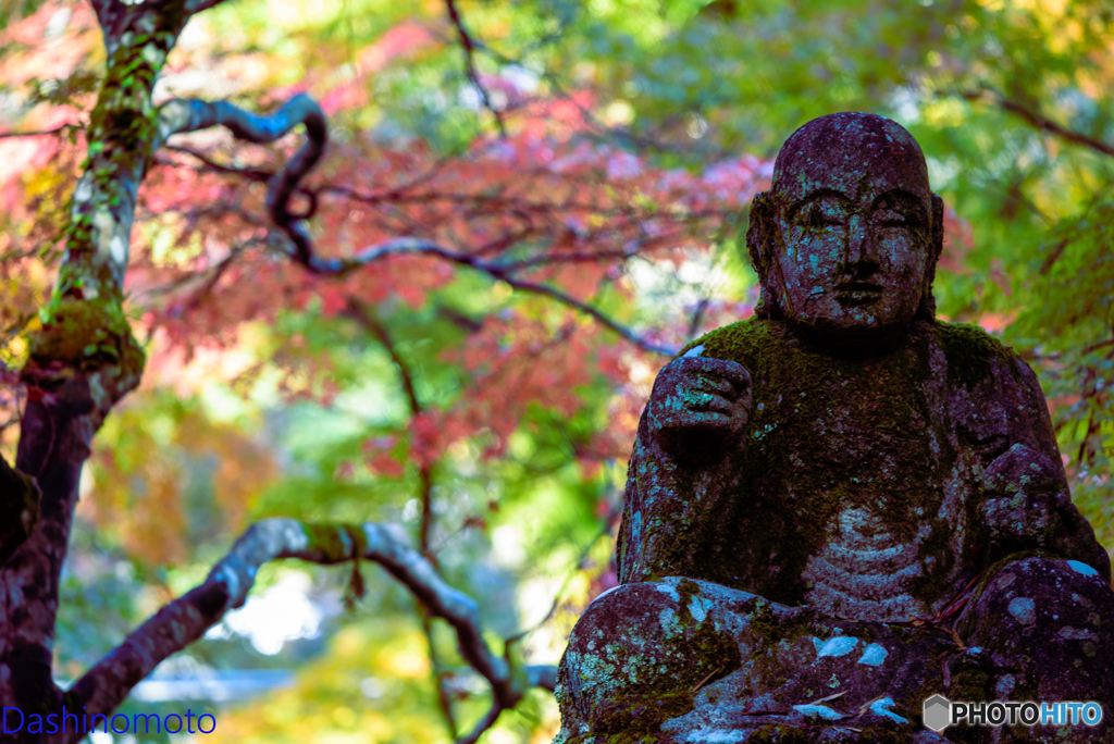 広島　紅葉さんぽ２