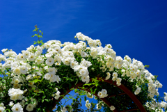 富士川クラフト4