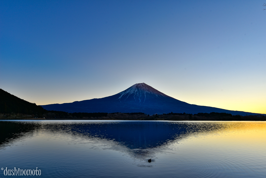 富士朝