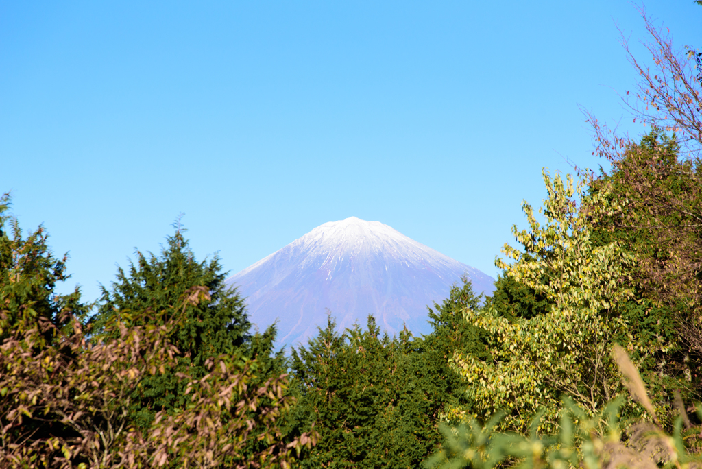 白鳥山から　⑤