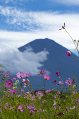 富士山散歩