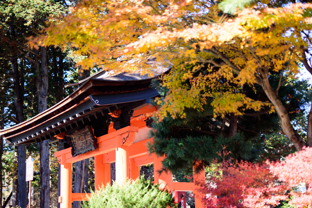 山梨恵林寺