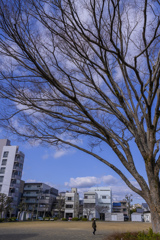 静岡駒形散歩