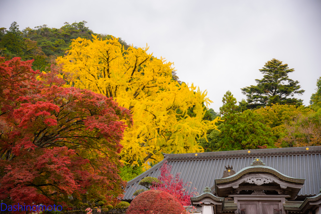 大窪寺