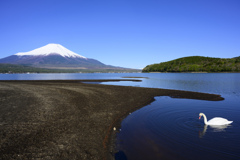 五月の山中湖
