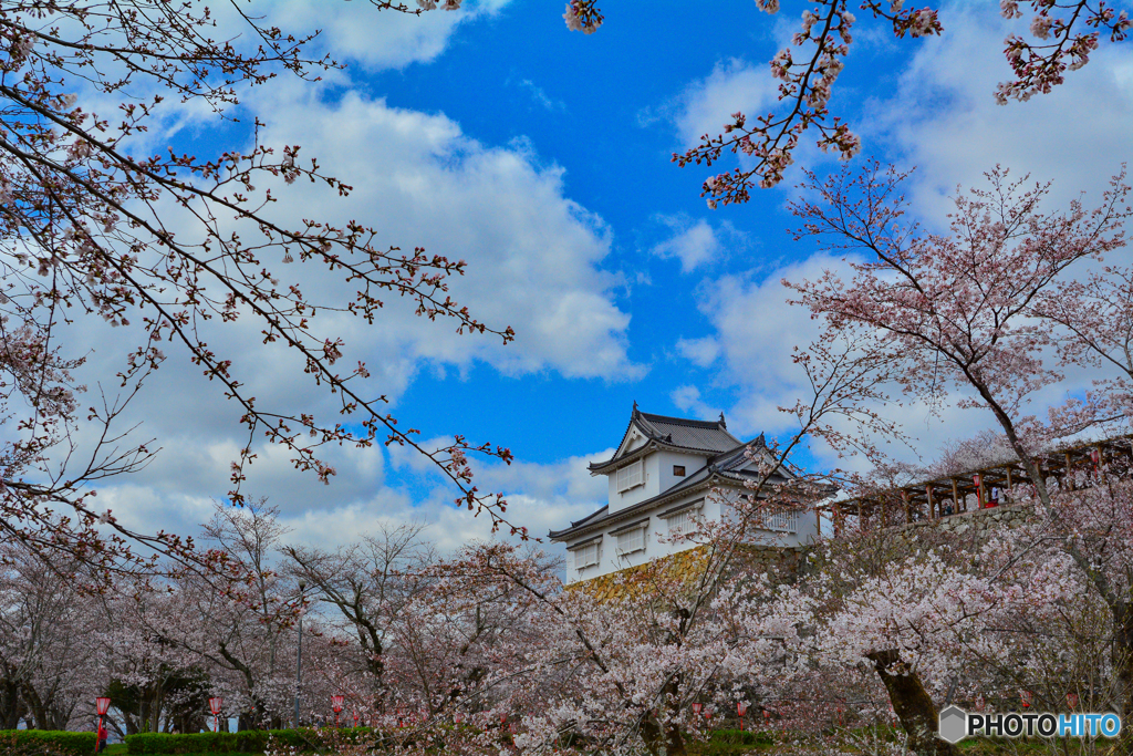 春　津山城