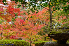 大窪寺