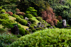 龍潭寺　庭①