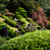 龍潭寺　庭①