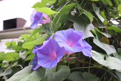 懐かしぃ〜