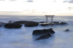 雲海に浮かぶ鳥居