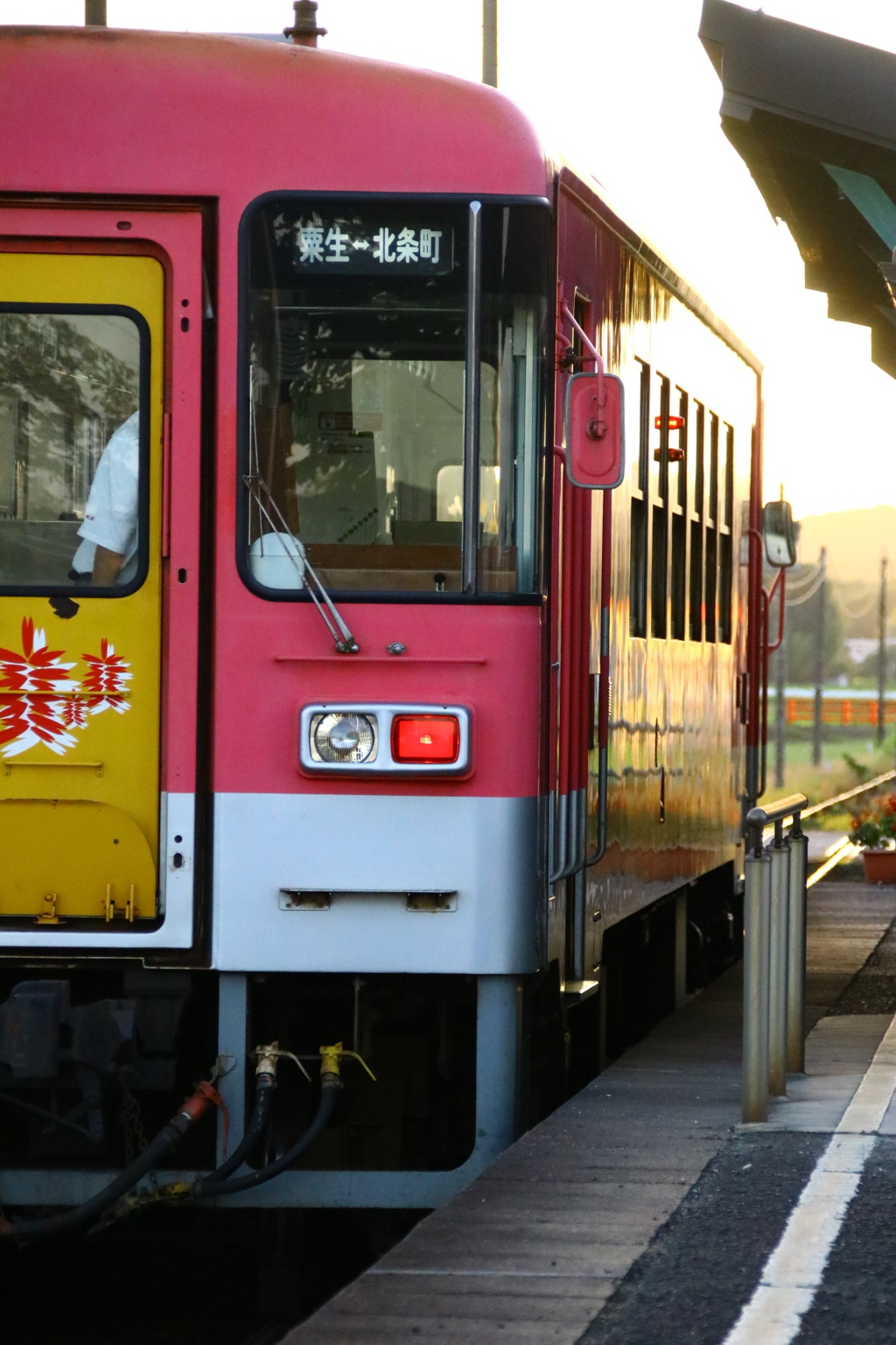 １日お疲れ様でした…。
