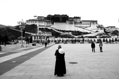 チベット／ラサ／ポタラに祈る人