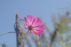 DSC05335