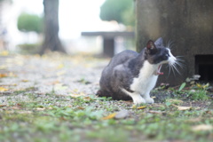 「ふぁ～あ」