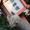 ﾆﾔﾘ