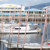 港