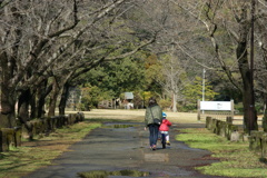 雨上がりの公園