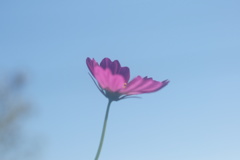 DSC05336