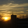 夕焼けぬ