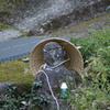 還る