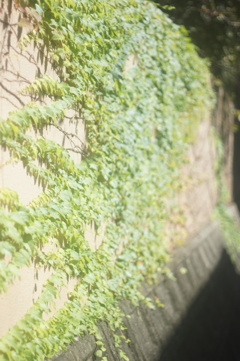 DSC05343