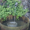 水と桶