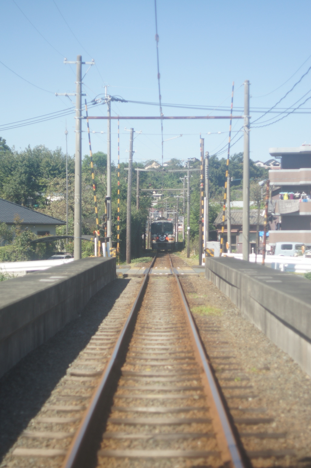 DSC05331