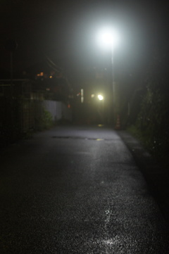 雨の道