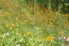 DSC05332