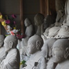 集合写真