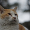 社長