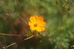 DSC05324