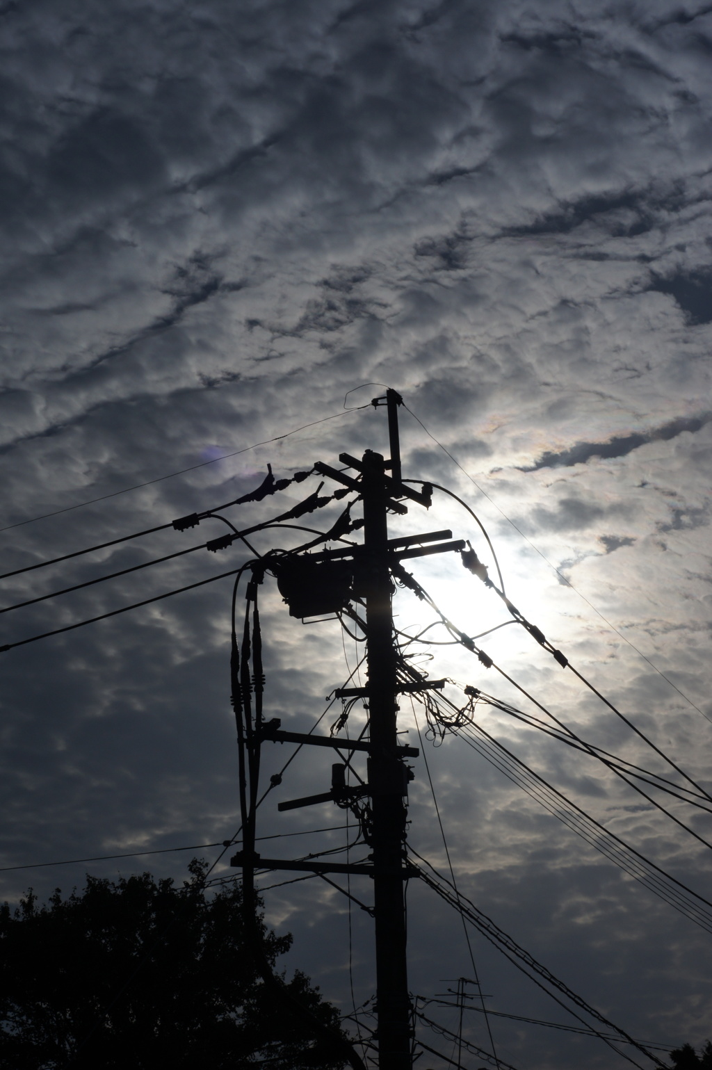 電柱と空