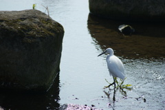 散歩水道